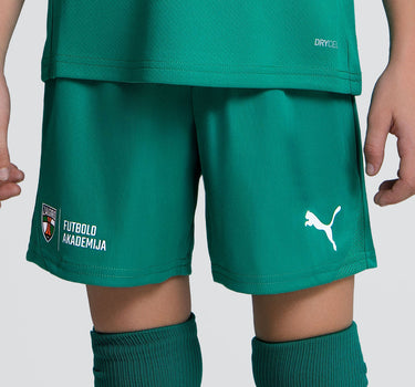 Žali futbolo akademijos šortai