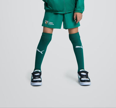 Žalios futbolo kojinės