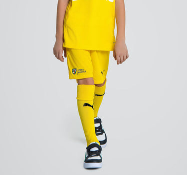 Geltonos futbolo kojinės (vartininkams)