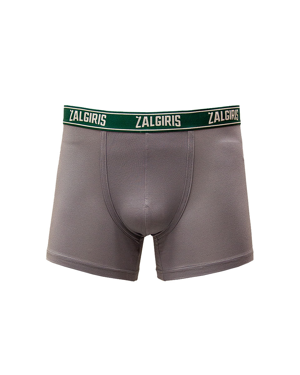 Trumpikės "Žalgiris" (pilkos)-2