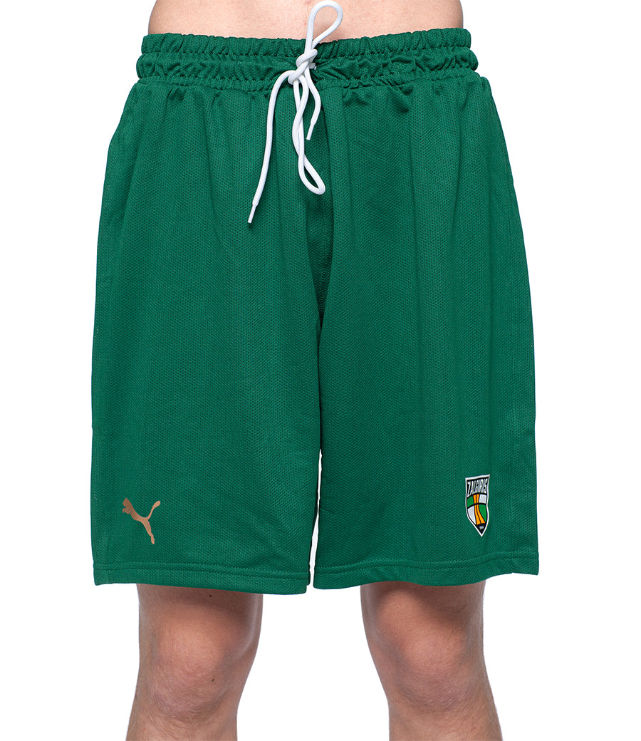 Green training shorts 24/25-1